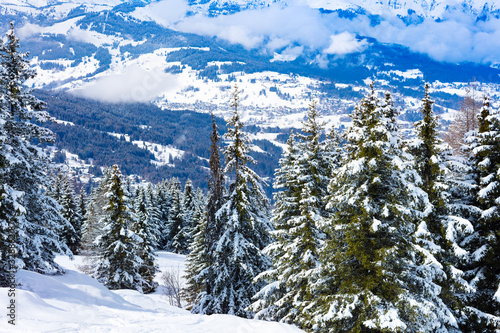 Valley behind beautiful snow covered firs in Mont-Blanc, Chamonix region, Auvergne-Rhone-Alpes in south-eastern France