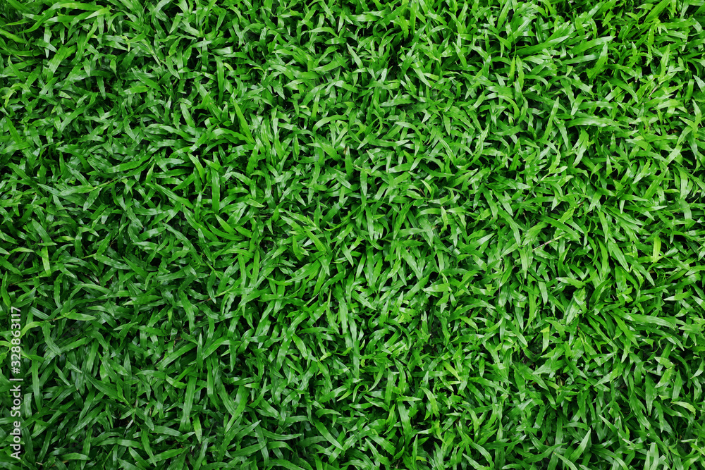 Green Grass Texture Background. Fresh and Clean leaf. Top View Green Grass Texture Background. Fresh and Clean leaf. Top View