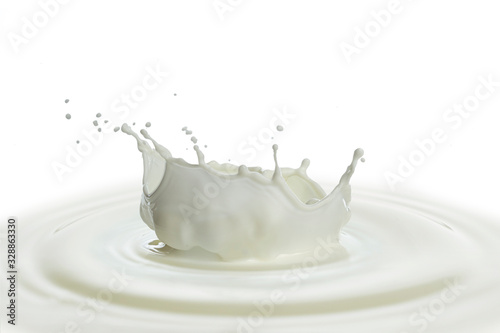 pouring of milk splash isolated white background