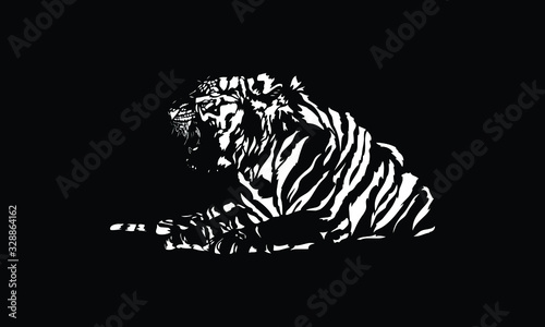 white tiger on black background