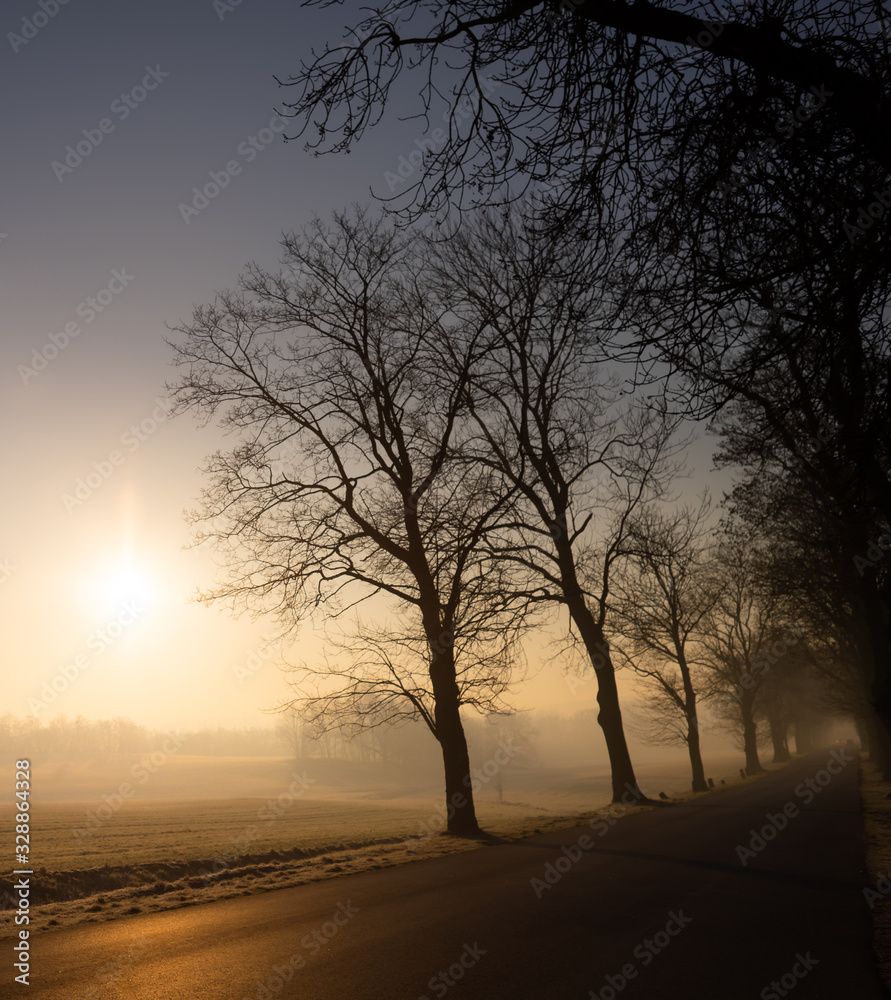 Road in the fog in the morning, sunrise over the fields