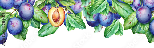 Photography Watercolor plum tree branches with green leaves