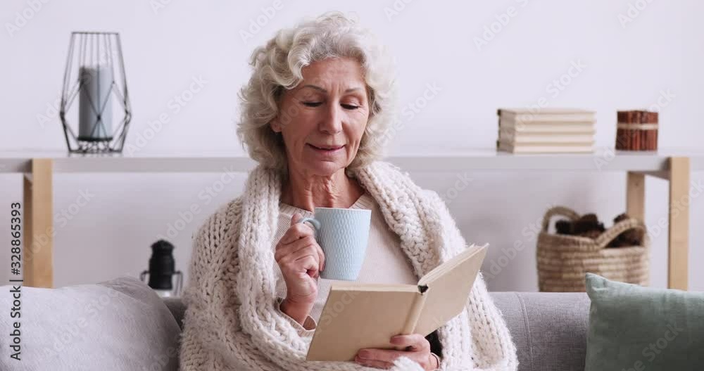Smiling relaxed old woman reading book sitting on sofa at home. Happy senior lady covered with warm plaid enjoying leisure time relaxing with hobby, drinking tea and resting on couch in living room. Smiling relaxed old woman reading book sitting on sofa at home. Happy senior lady covered with warm plaid enjoying leisure time relaxing with hobby, drinking tea and resting on couch in living room.
