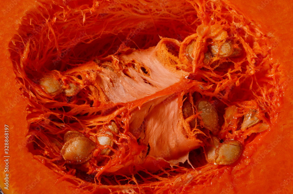Close-up of organic butternut squash cut in half and contains seeds Close-up of organic butternut squash cut in half and contains seeds