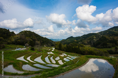 大山千枚田の春 photo