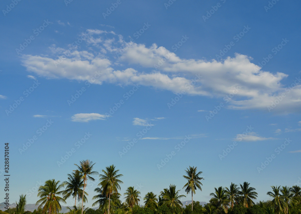 Coconut palm tree with Cumulus cloud on beautiful blue sky , Fluffy clouds formations at tropical zone, Thailand