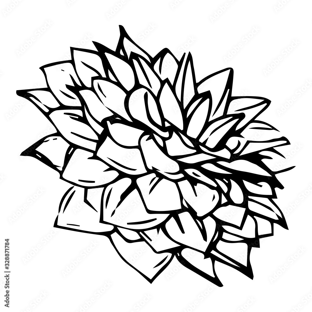 Hand-drawn ink dahlias. Isolated floral elements. Vector graphic flowers on white background.