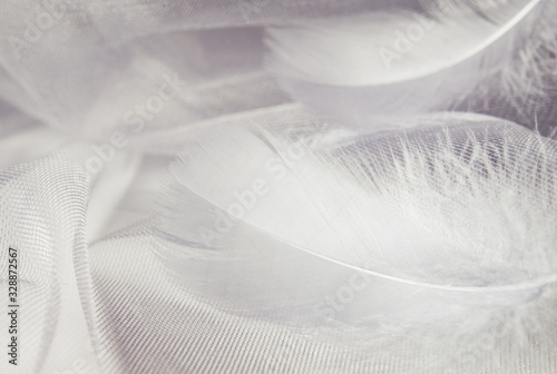 Gray draped tulle with feat...