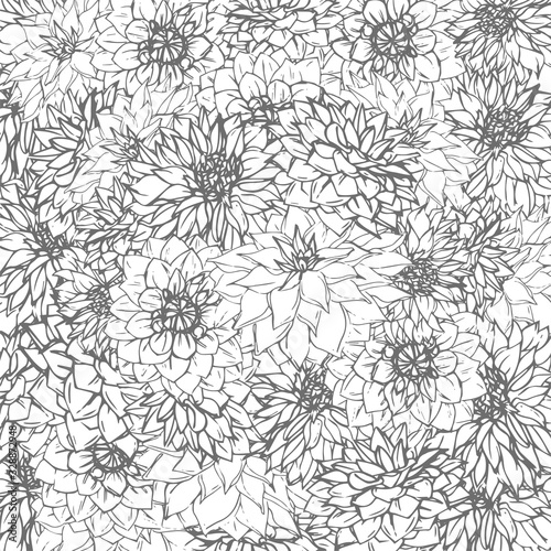 Hand-drawn dahlias line art. Isolated floral elements. Vector flowers on white background.
