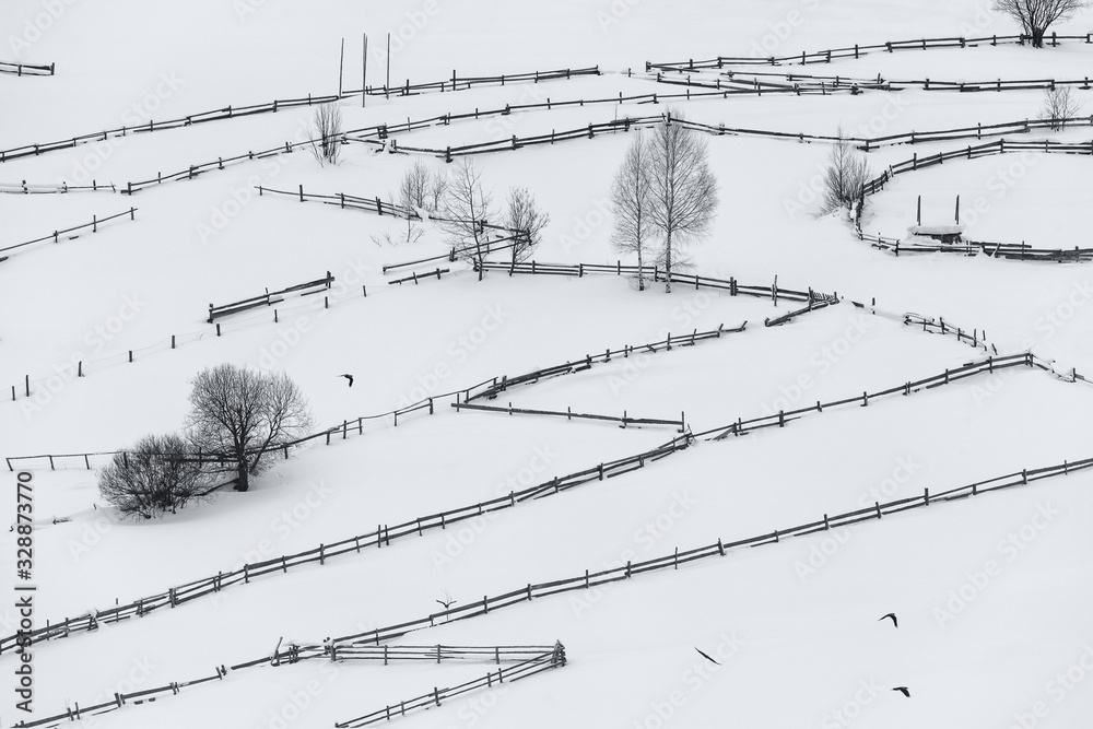 Monochrome Winter Rural Landscape With A Broken Line Of Wooden Fences, Haystacks, Trees And Flying Crows. Carpathian Mountains, The Border Of Ukraine And Romania. Ukrainian Or Transylvanian Pastoral