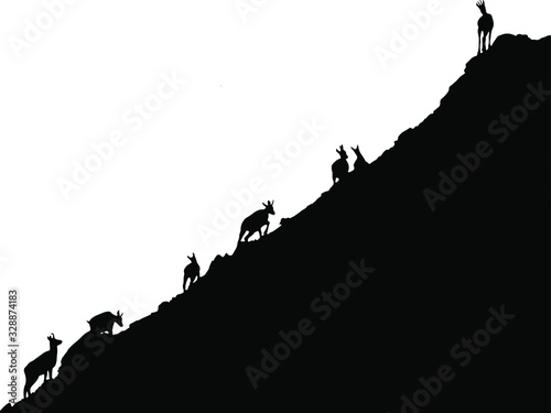 Black silhouettes of chamois climbing uphill isolated on white background. Illustration.