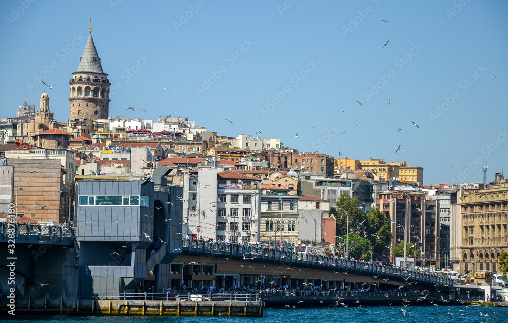 Fototapeta premium Seagulls fly over the sea in search of fish above the Galata Tower and Golden Horn with nice blue sky, Istanbul, Turkey 