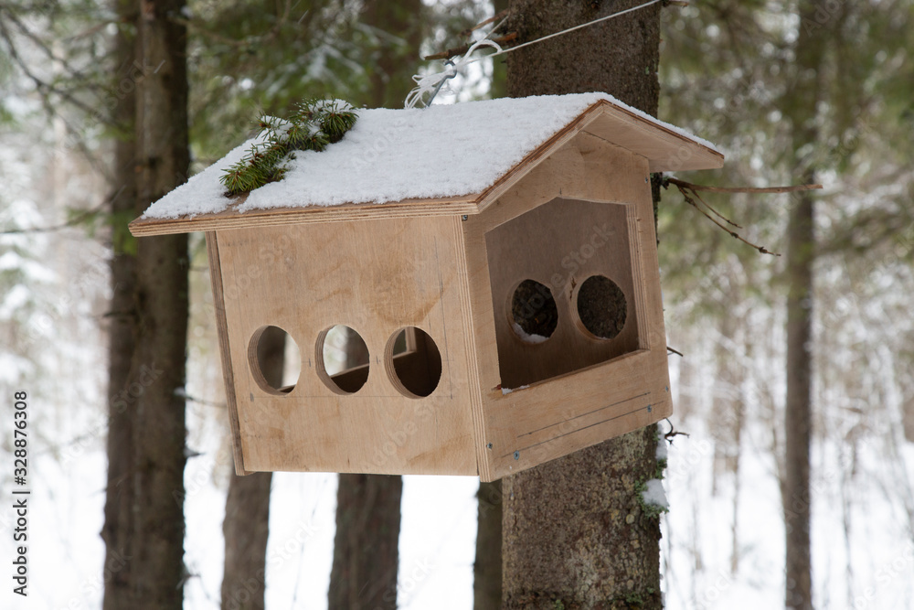 Feeder for birds and squirrels on the street in the Park in winter.