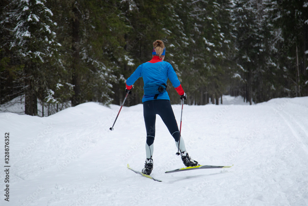 Skiing in the winter forest. Winter leisure and recreation. Cross country Skilling.