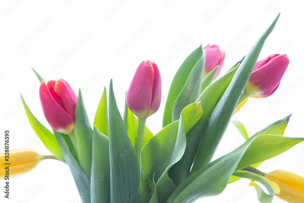 Obraz premium Bouquet of tulips on a white background. Flower shop.