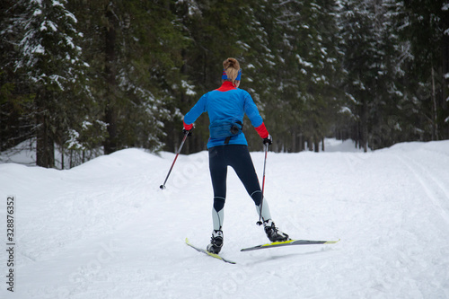 Skiing in the winter forest. Winter leisure and recreation. Cross country Skilling.