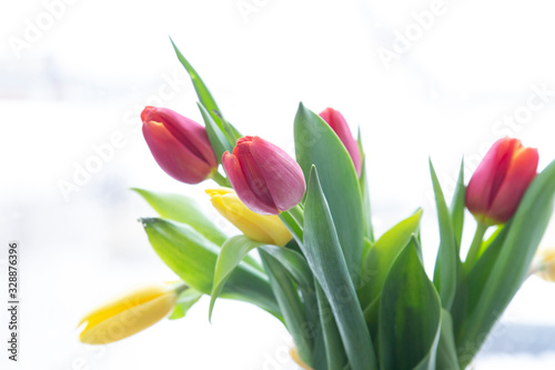 Bouquet of tulips on a white background. Flower shop.