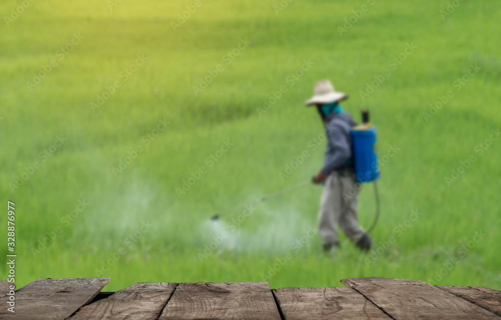 farmer spraying pesticide in the rice field. farmer spraying pesticide in the rice field.