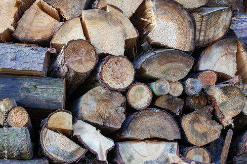 Stacked cut wooden logs suitable as background