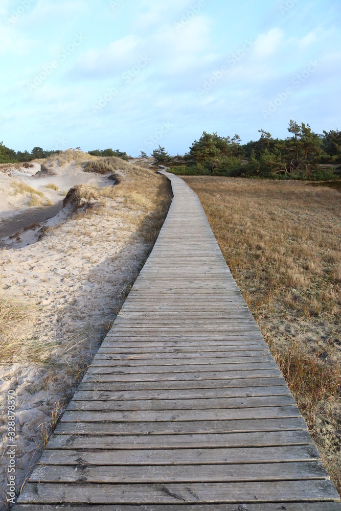 Fototapeta premium Holzsteg 
