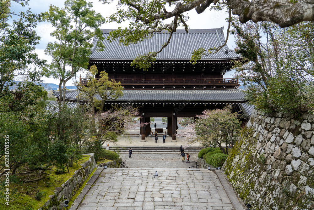 京都 知恩院の桜と春の景色