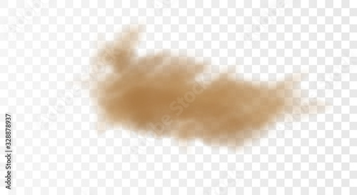 3d realistic dust cloud isolated on a transparent background.Brown dusty cloud or dry sand flying with a gust of wind. 