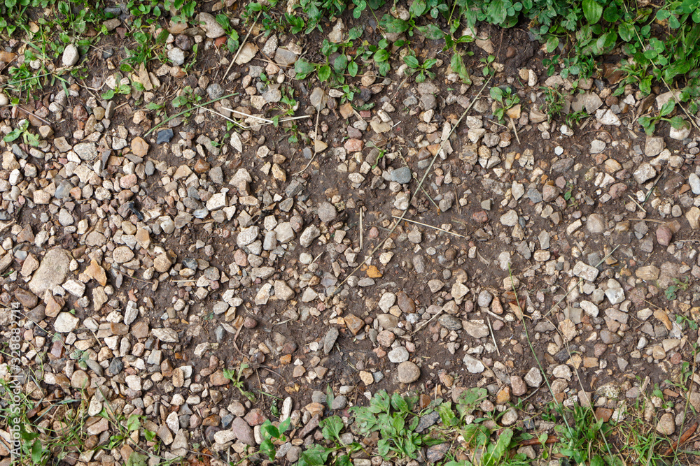 A path made of small stones in nature, close-up. A path made of small stones in nature, close-up.