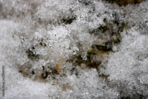 The trunk of winter birch covered with snow and ice floes similar to diamonds