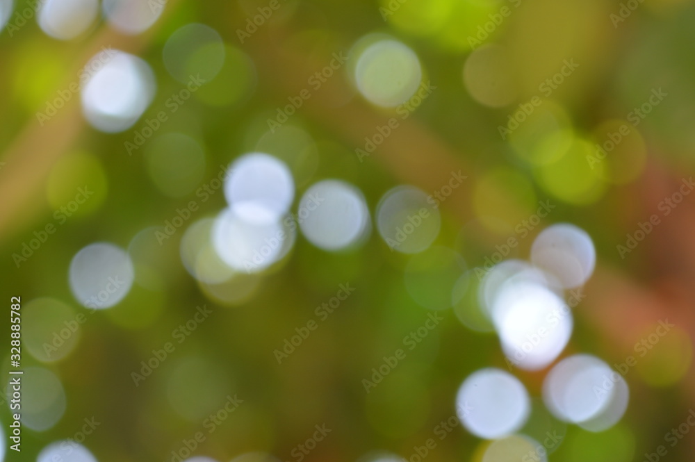 The bokeh of sunlight shining through the shade of green trees.