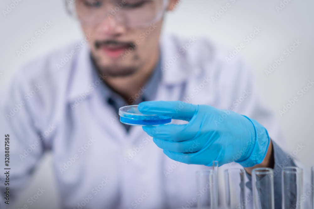 Professional researchers working in a hemp field, they are checking plants, alternative medicine and cannabis concept Professional researchers working in a hemp field, they are checking plants, alternative medicine and cannabis concept