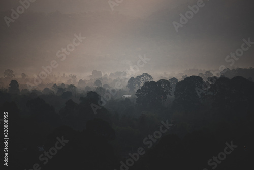 the field of tropical forest, natural landscape scene © chokniti