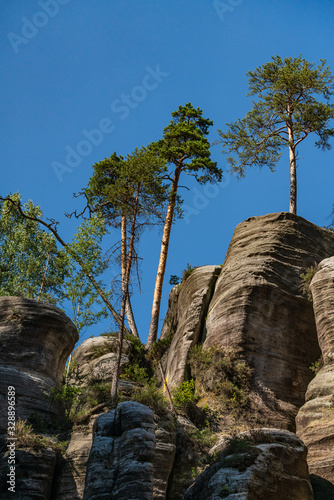 Adrspach Teplice rocks, the sandstone landscape in Bohemia, Czech Republic. Cliffs and mountains in Adršpach-Teplice Rocks. Adersbach-Weckelsdorfer Felsenstadt, Europe hills.