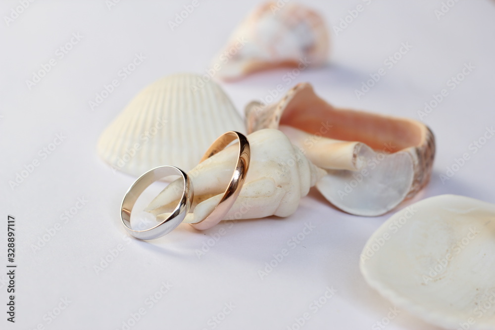 two wedding rings on a white background on shells two wedding rings on a white background on shells
