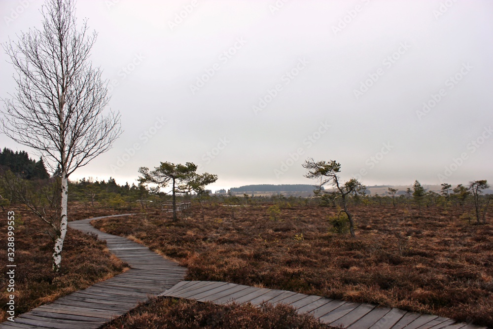 Obraz premium Holzbohlenweg durch das Schwarze Moor in der Rhön