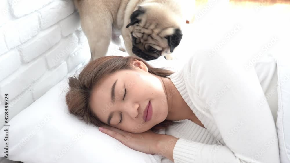 Asian woman wearing Pajamas sleep close her eyes smile sleep and Dog awake in bedroom in the morning feeling so relax and comfortable,Healthcare and Sleep Concept Asian woman wearing Pajamas sleep close her eyes smile sleep and Dog awake in bedroom in the morning feeling so relax and comfortable,Healthcare and Sleep Concept