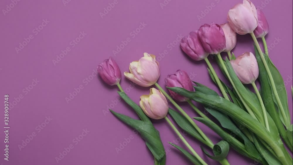 Greeting card with colorful spring tulips flower. Holiday bouquet. Concept of Mother's Day, Birthday or Valentine's Day celebrations. Stop Motion Animation, Top View, Flat lay, Time lapse Greeting card with colorful spring tulips flower. Holiday bouquet. Concept of Mother's Day, Birthday or Valentine's Day celebrations. Stop Motion Animation, Top View, Flat lay, Time lapse