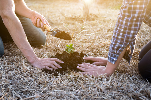 Two young men planting tree to protect the environment