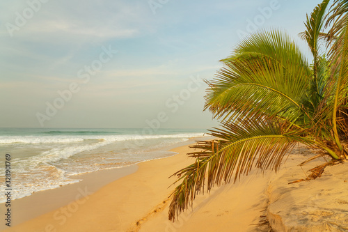 Ocean waves on sand beach with palm  Sri Lanka