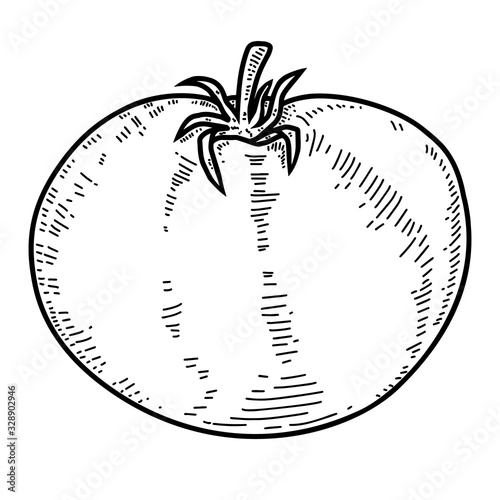 Illustration of tomato in engraving style. Design element for logo, label, sign, poster, t shirt. Vector illustration