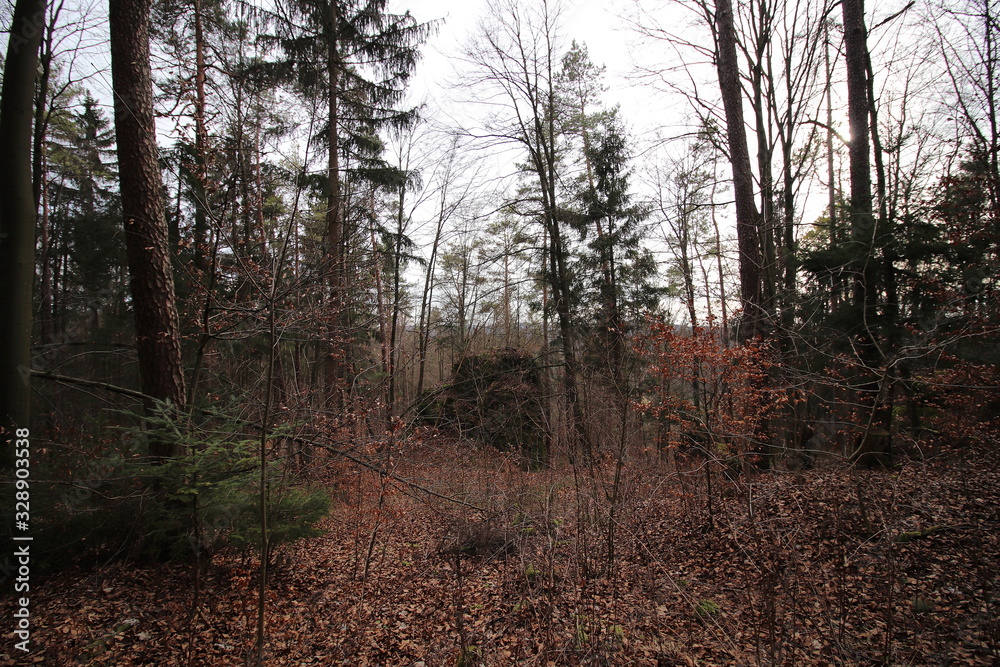 Fototapeta premium Oberfranken in der Nähe von Obertrubach