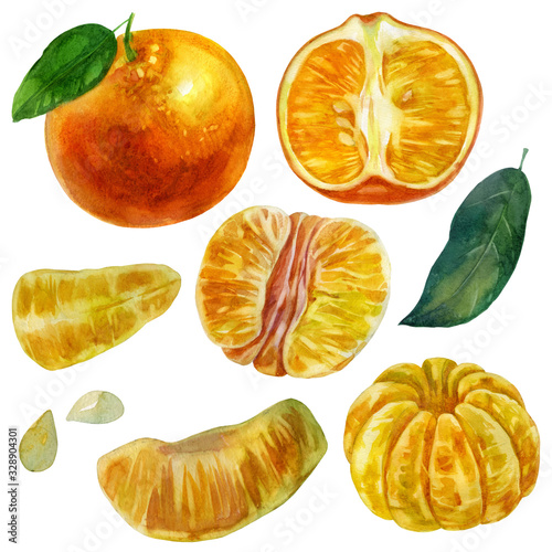 Watercolor illustration, set. Whole tangerine in a peel. Purified Mandarin Half, Purified Whole Mandarin Fruit. Half a tangerine in a peel. Tangerine Slices. Mandarin leaf, tangerine seeds.