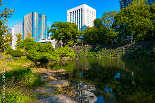 Japan. Pond in the center of Tokyo. Japanese city park. Walks in the parks of Tokyo. Pond on the background of business skyscrapers. Panorama of the Japanese capital. Nature in downtown.