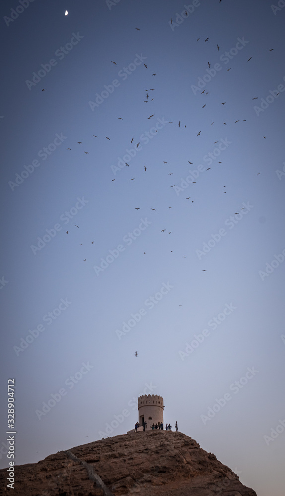 Birds flying around Al Ayjah castle, Oman