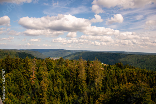 Blick auf den Schwarzwald