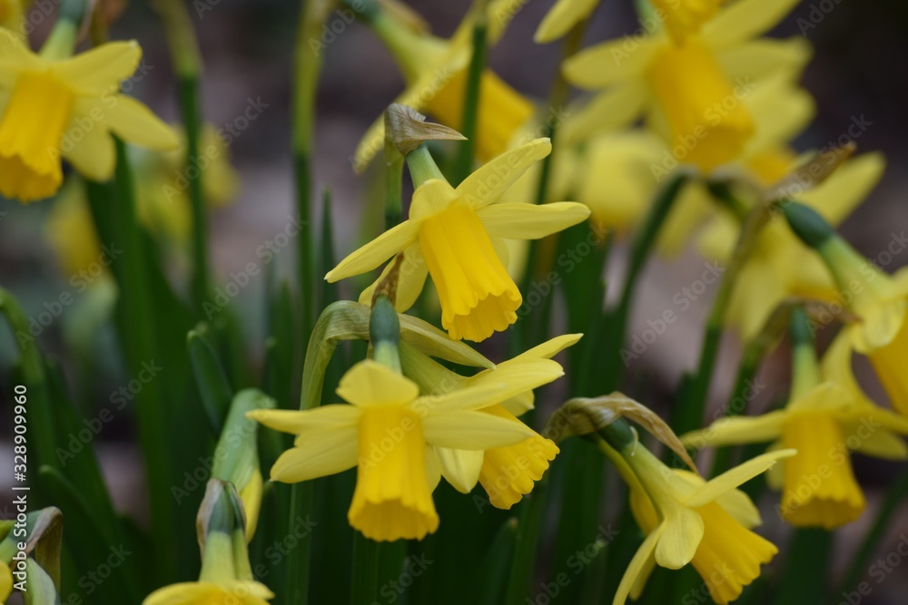 many Easter bells