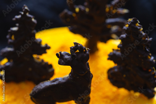 Close up of a fresh orange powder on a cake with chocolate decoration. Vegan cake. Healthy food. © Neven Krcmarek