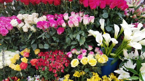Fototapeta Naklejka Na Ścianę i Meble -  Many Blooming Flowers  in a Flower Shop
