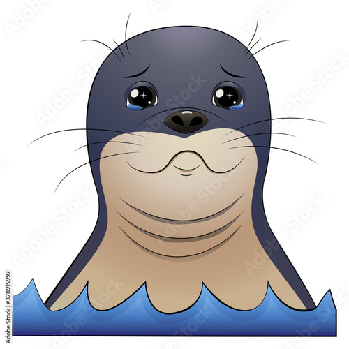Seal animal head with tears in his eyes..