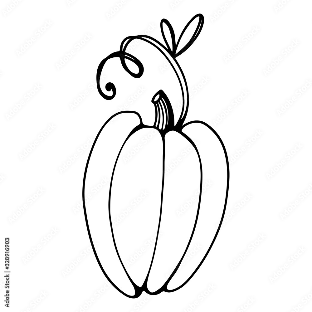 Pumpkin with tail and leaf. Doodle contour. Cute digital art. Print for cards, banners, posters, coloring books, web, invitations, stickers, restaurants, menus, fabrics, wrapping paper. Pumpkin with tail and leaf. Doodle contour. Cute digital art. Print for cards, banners, posters, coloring books, web, invitations, stickers, restaurants, menus, fabrics, wrapping paper.