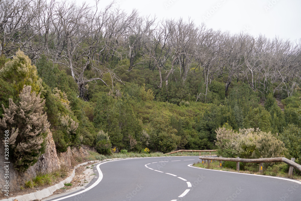 Fototapeta premium La Gomera Valle Gran Rey Kanaren